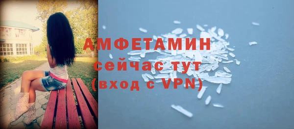 дмт Инта