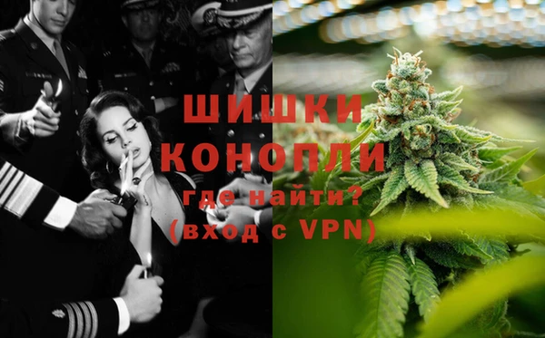 дмт Инта