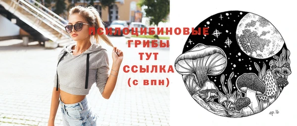дмт Инта